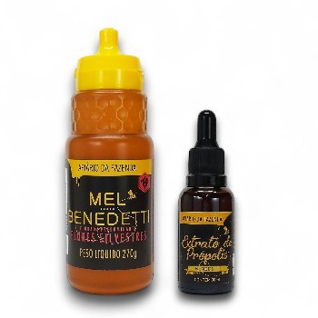 Bisnaga de Mel e Própolis. Entrega Grátis